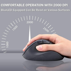 ELECOM EX-G Wireless Silent Mouse/ Basic Mice/ Ergonomic Design/ 5 Buttons/M-XGS/M/L30DBSK Series